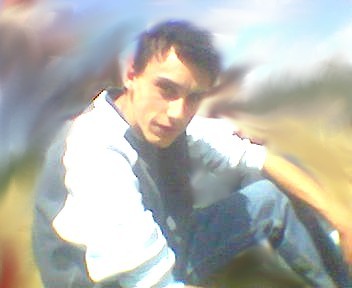 ludo